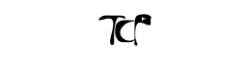 TCP Media Group